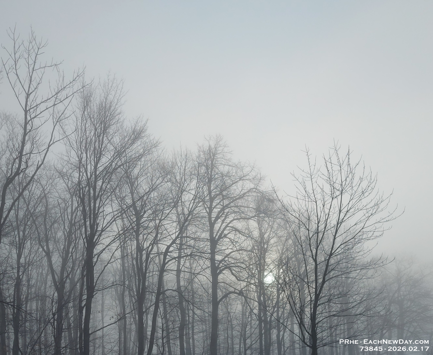 73845PeCrLe - Foggy morning